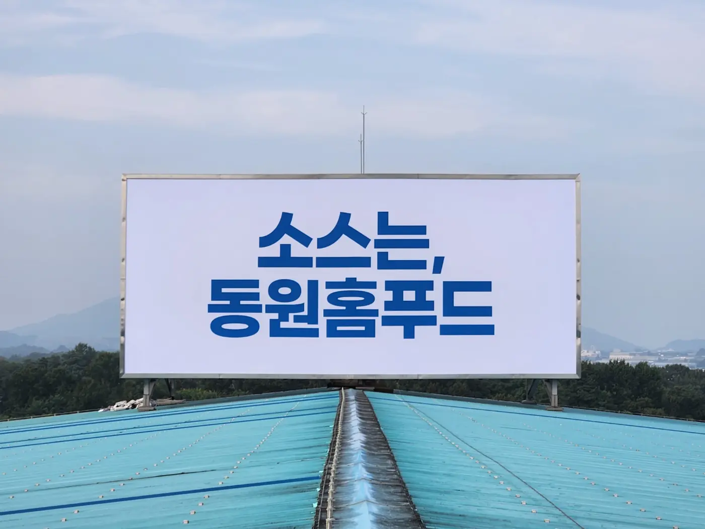 누전차단기와 접지 설비를 새로 시공한 배선함 내부 모습